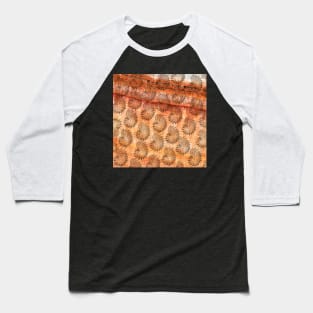 Earthy Nautilus Shells Baseball T-Shirt